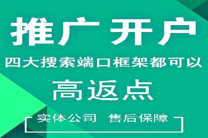 百度竞价与搜索引擎优化（SEO）结合的经典案例