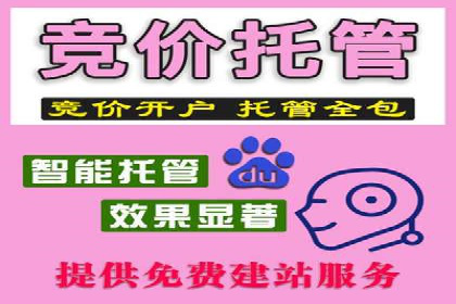 百度品牌专区推广：打造品牌形象的新途径